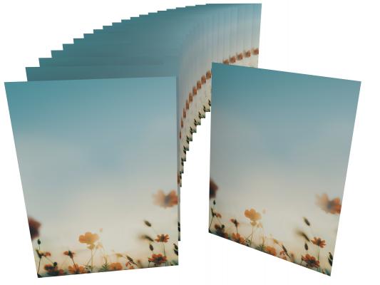 Stationery Autumn Sun Writing paper